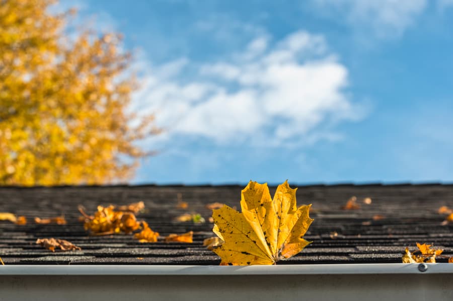 Outdoor Repairs To Make On Your Home In The Fall