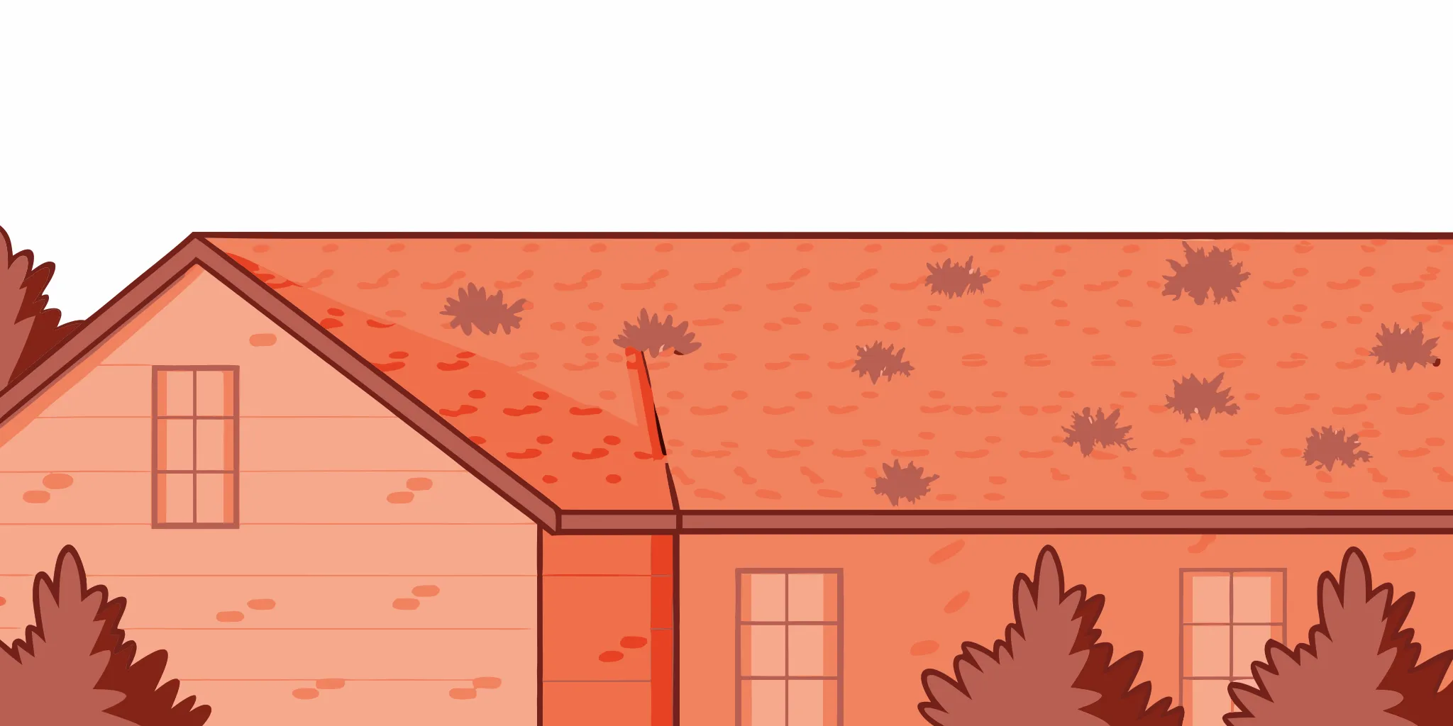 Moss and algae growth on an asphalt shingle roof in New Jersey
